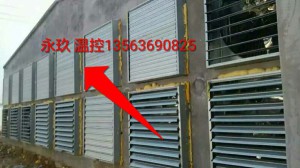 風(fēng)機(jī)安裝現(xiàn)場(chǎng)