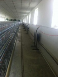 風(fēng)機(jī)安裝現(xiàn)場