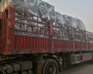 發(fā)貨現(xiàn)場