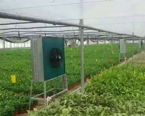 風(fēng)機(jī)安裝現(xiàn)場(chǎng)