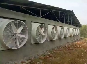 風(fēng)機(jī)安裝現(xiàn)場(chǎng)