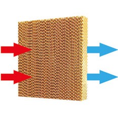 濟南濕簾（水簾）
