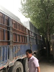 發(fā)貨現(xiàn)場